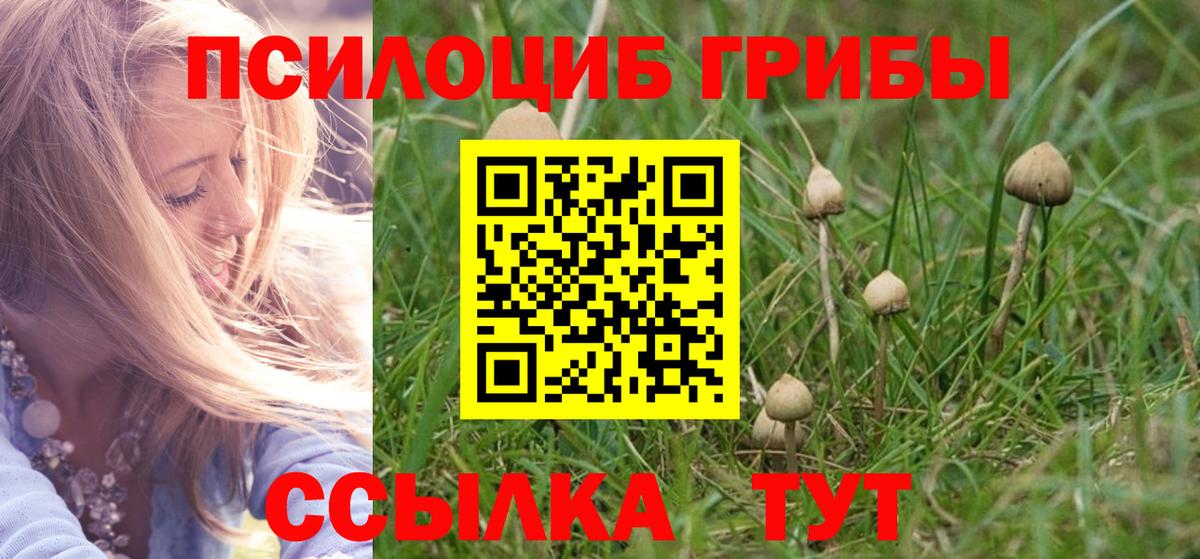 Псилоцибиновые грибы Psilocybine cubensis  Вход с VPN  Галлюциногенные грибы Cubensis  Назарово 